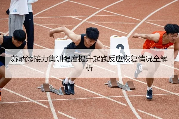 苏炳添接力集训强度提升起跑反应恢复情况全解析
