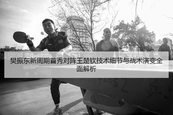 樊振东新周期首秀对阵王楚钦技术细节与战术演变全面解析